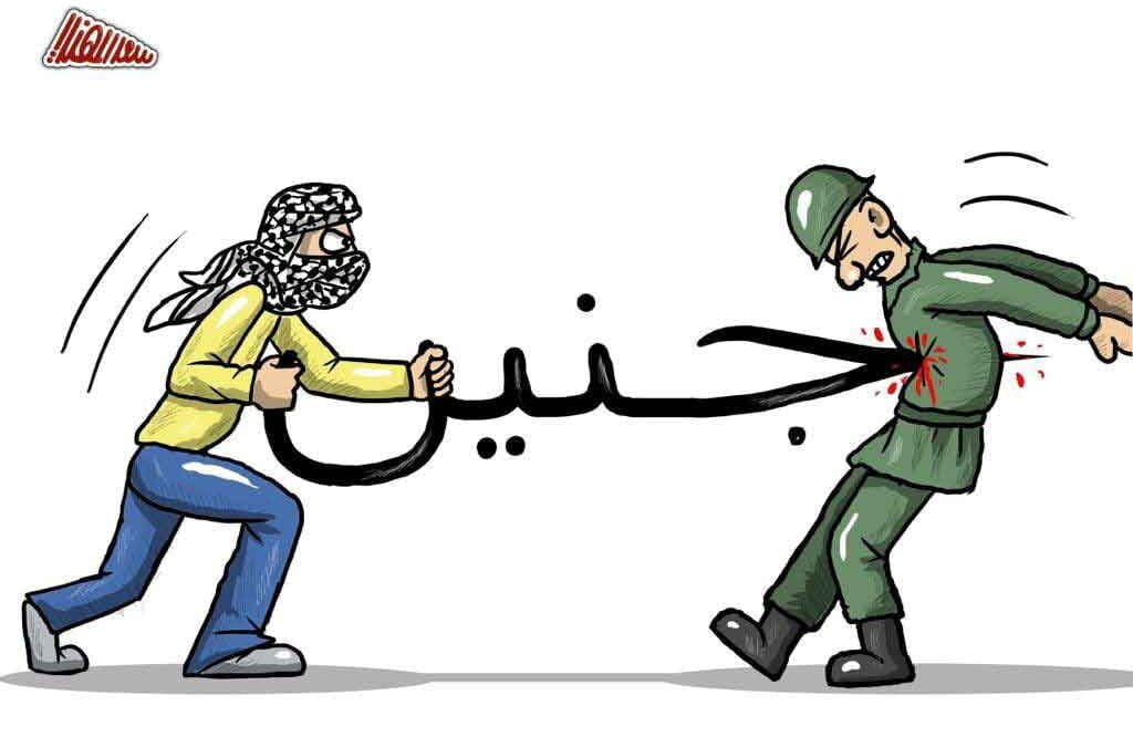 جنين
