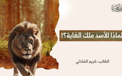 لماذا الأسد ملك الغابة؟!