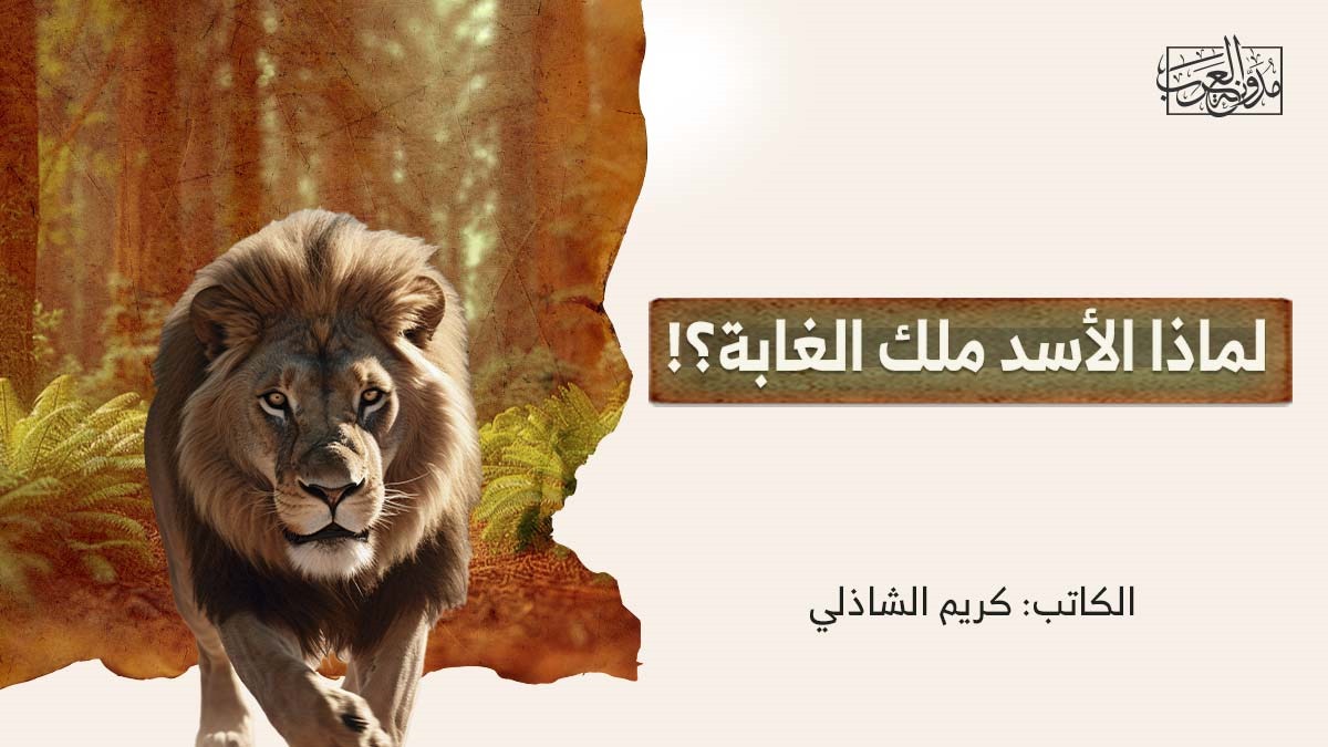 الأسد ملك الغابة لماذا الأسد ملك الغابة؟!